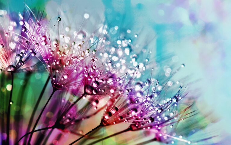 closeup photography of purple silk flowers with dewdrops