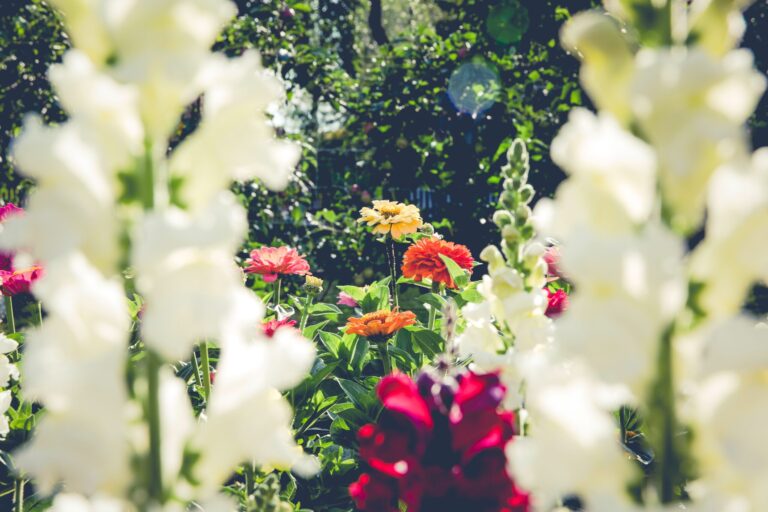 gardening benefits