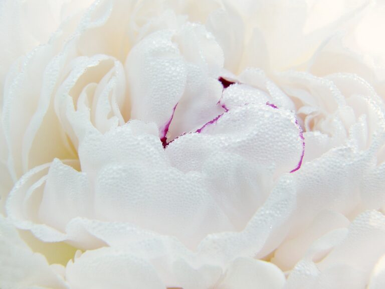 Emotional Detox And Processing Emotions With Sherianna Boyle