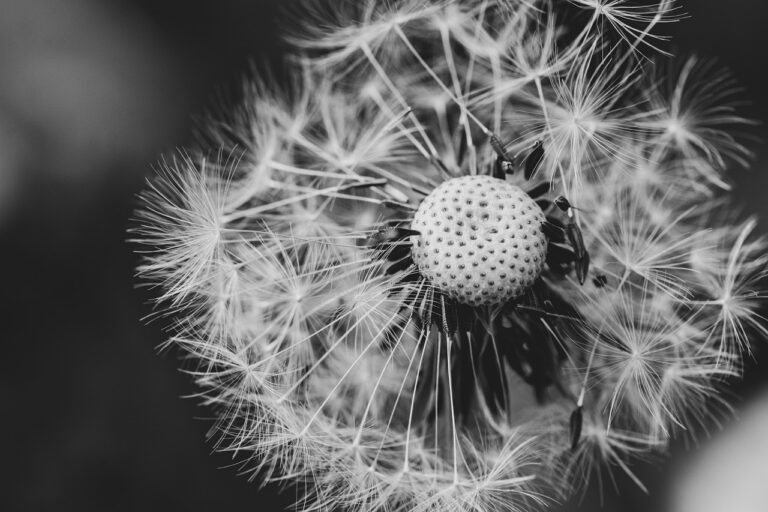 affirmations for success