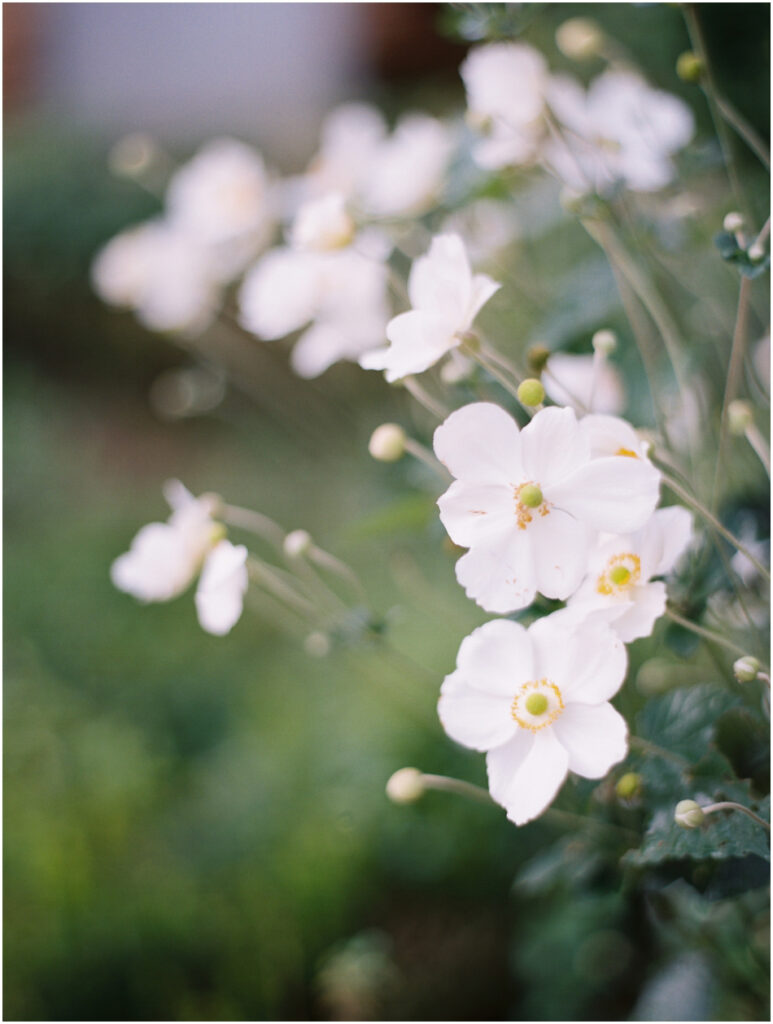 Mental Health Quotes