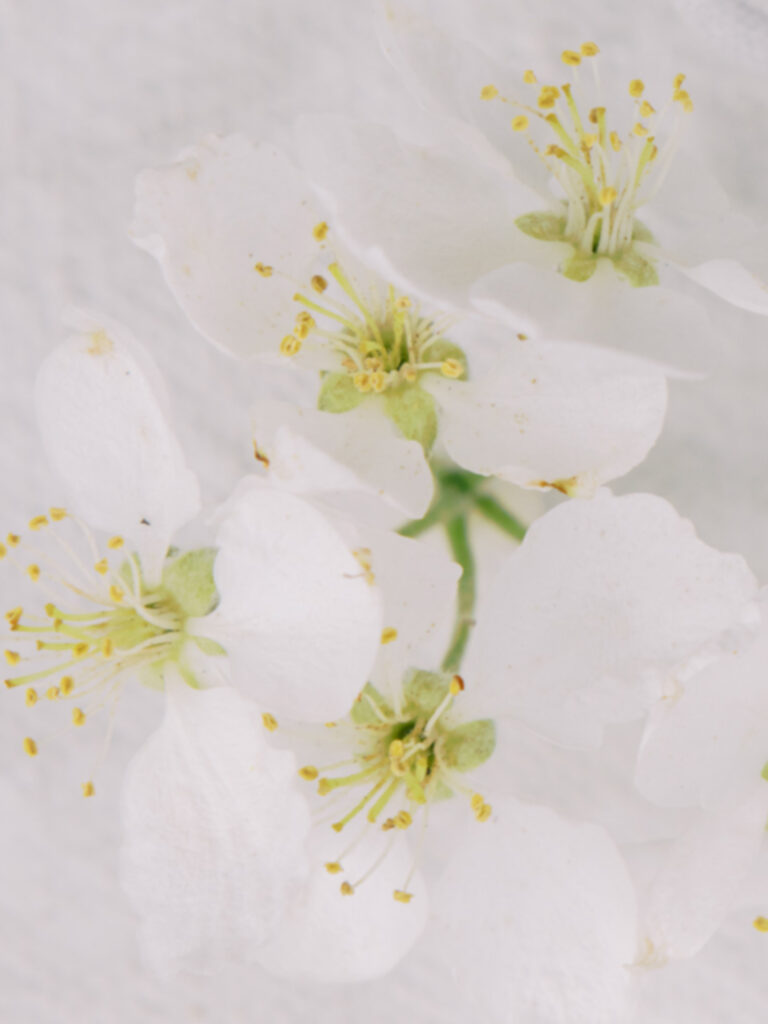 Renewed Hope With Linda Bjork