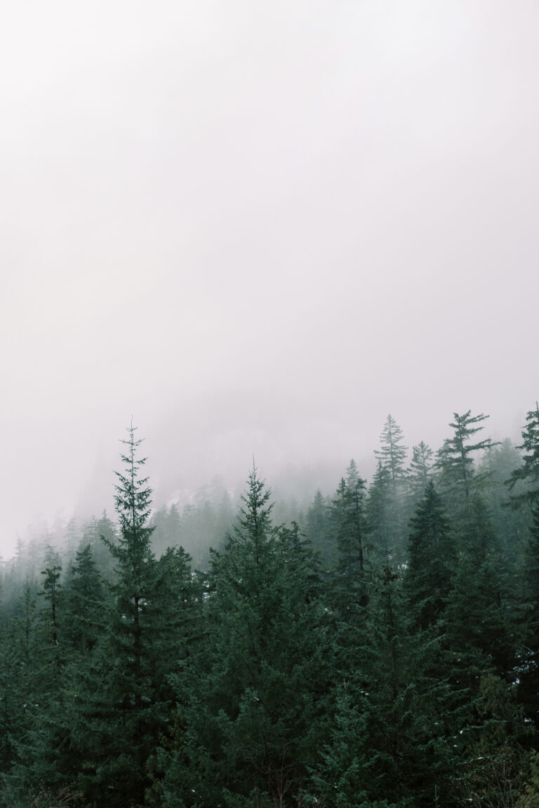Mental Wellness