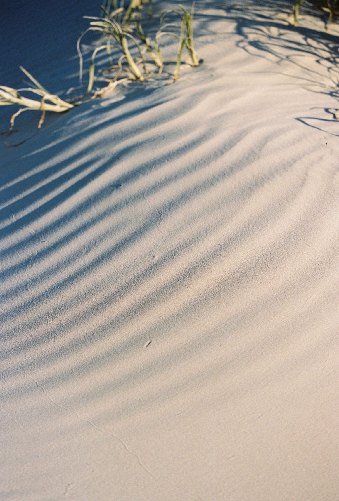 soul evolution insights 