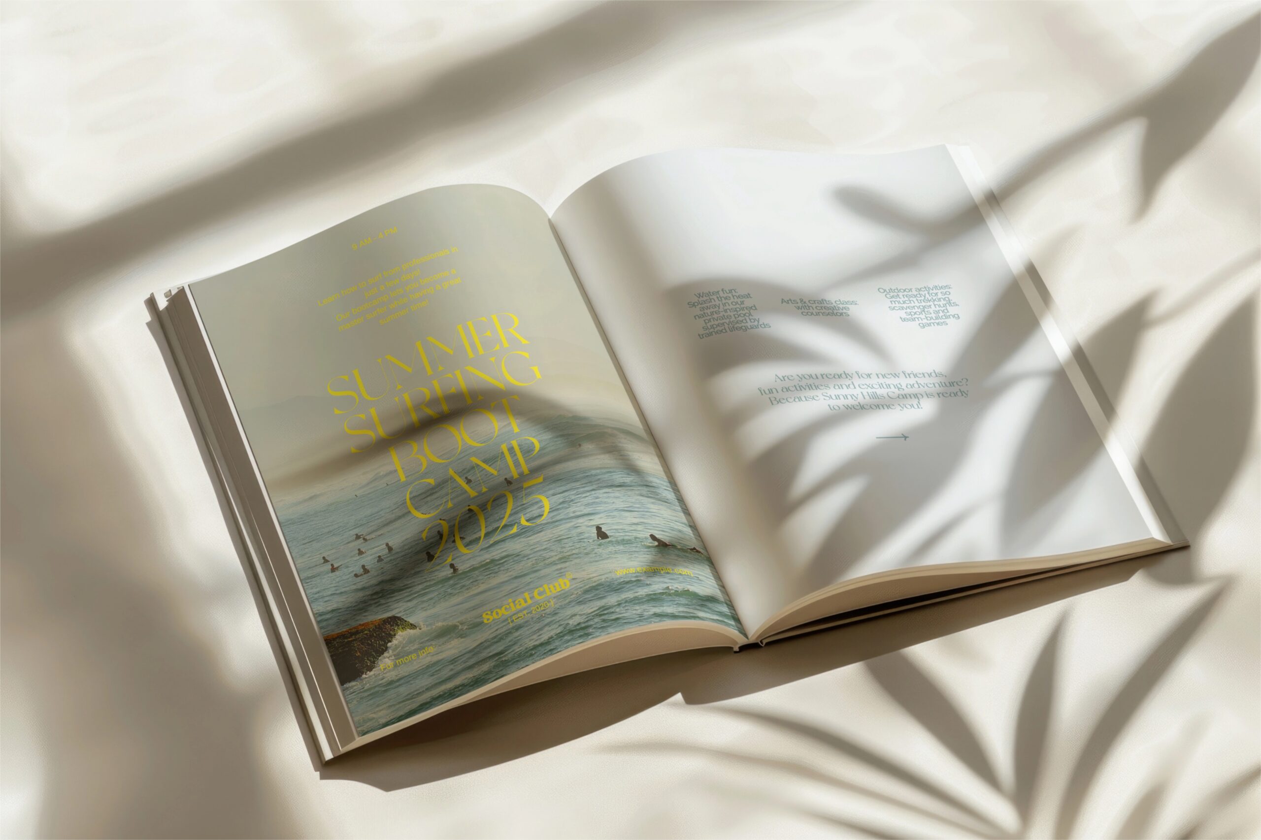 Law Of Attraction Book