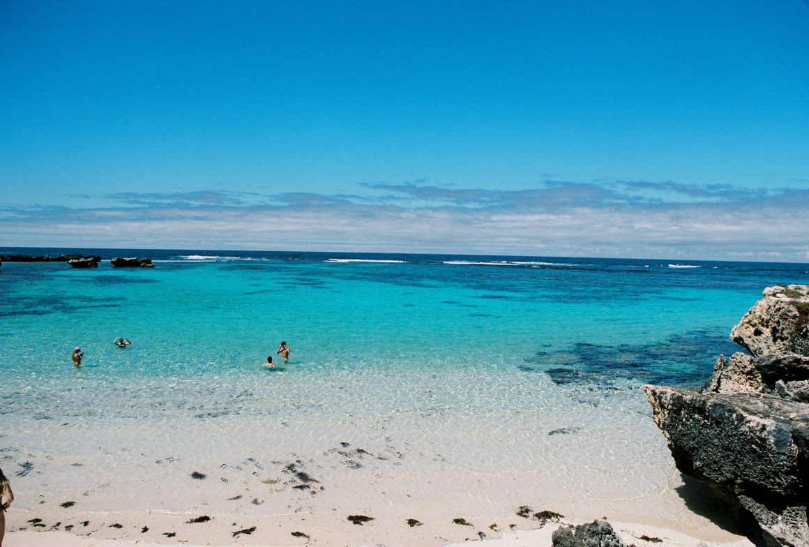 mental wellness tips