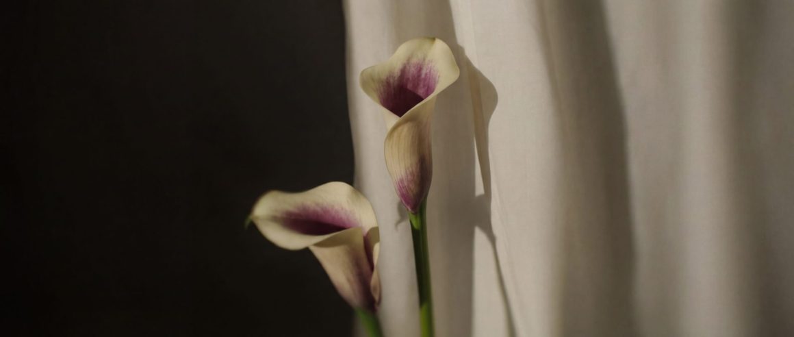 stop thinking about someone