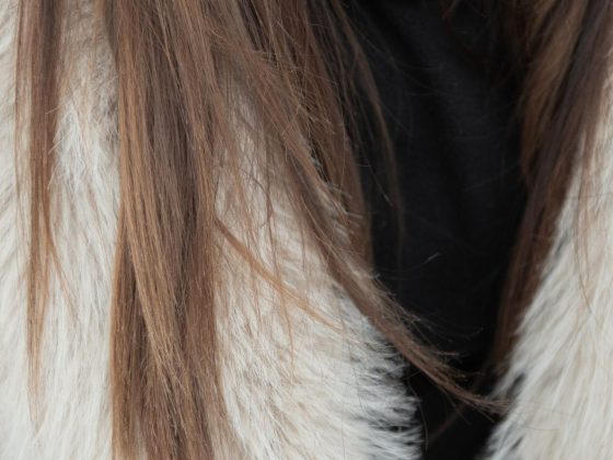 how to quiet your mind